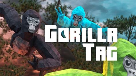 who is the best gorilla tag player|5th best gorilla tag player.